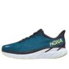 Clifton 8 ‘Farfalla corallo blu’