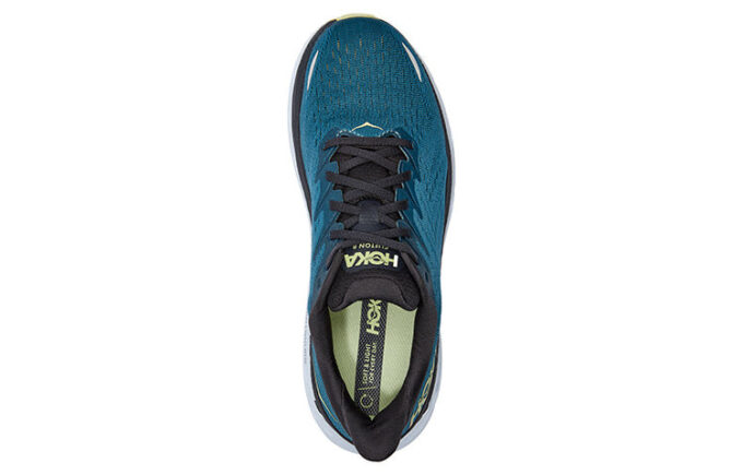 Clifton 8 ‘Farfalla corallo blu’