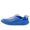 Rincon ‘Nebulose di funghi ostrica blu’
