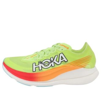 Rocket X 2 ‘Lettuce Solar Flare’
