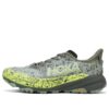 Speedgoat 6 GTX ‘Ardesia Aloe Vera’